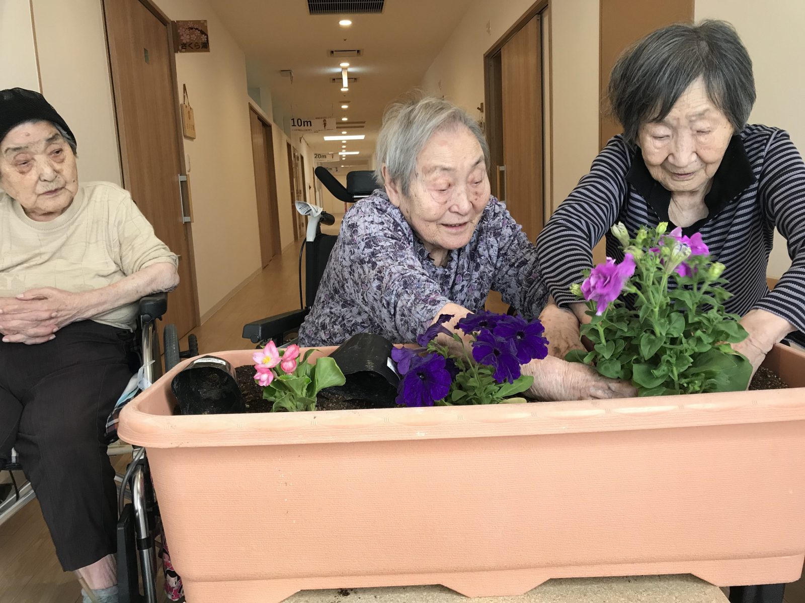 なごみ1区　花植え