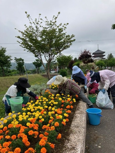 なごみの丘お手入れ♪