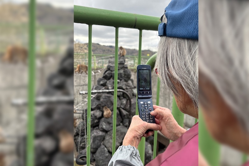 サル山でベストショット！